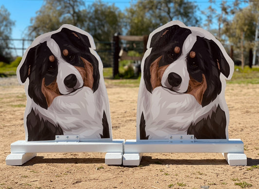 Send us a message for CUSTOM ORDER PET FILLERS