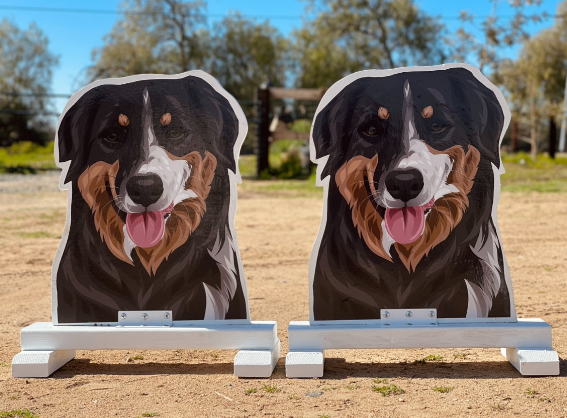 Send us a message for CUSTOM ORDER PET FILLERS