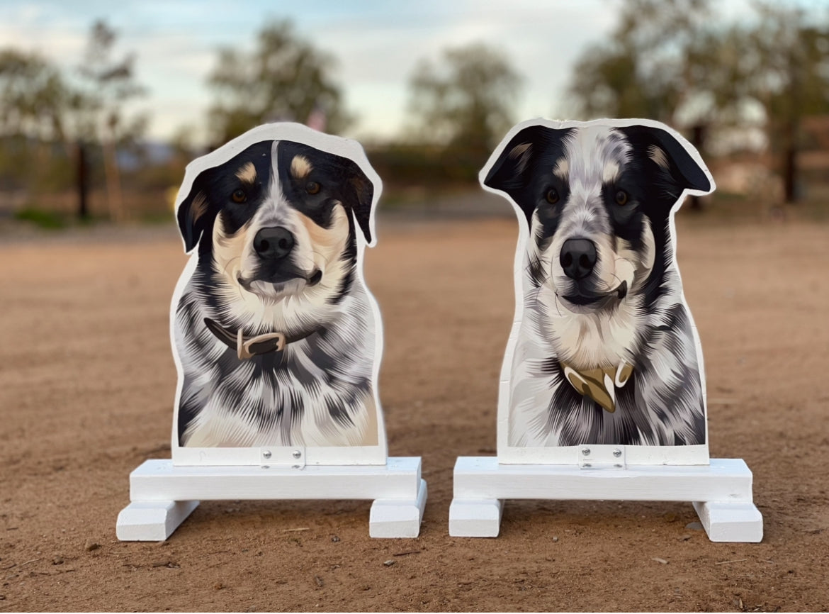 Send us a message for CUSTOM ORDER PET FILLERS